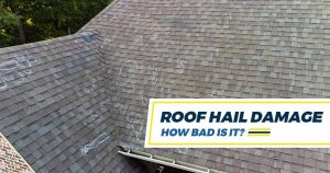 shingle roof with sustained roof hail damage