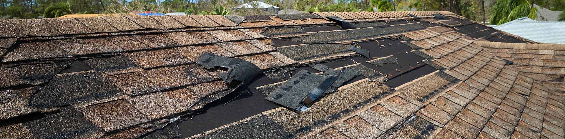 damaged shingle roof