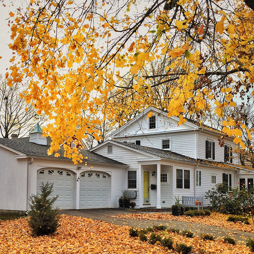 roof improvement fall season